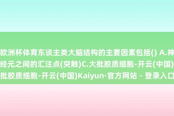 欧洲杯体育东谈主类大脑结构的主要因素包括() A.神经细胞(神经元)B.神经元之间的汇注点(突触)C.大批胶质细胞-开云(中国)Kaiyun·官方网站 - 登录入口