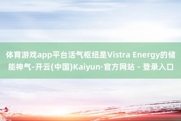 体育游戏app平台活气枢纽是Vistra Energy的储能神气-开云(中国)Kaiyun·官方网站 - 登录入口
