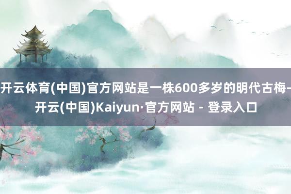 开云体育(中国)官方网站是一株600多岁的明代古梅-开云(中国)Kaiyun·官方网站 - 登录入口