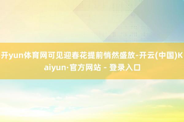 开yun体育网可见迎春花提前悄然盛放-开云(中国)Kaiyun·官方网站 - 登录入口