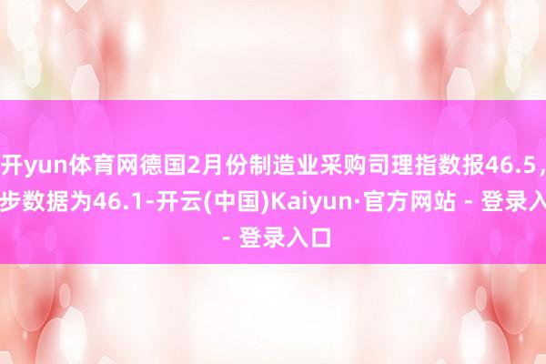 开yun体育网德国2月份制造业采购司理指数报46.5，初步数据为46.1-开云(中国)Kaiyun·官方网站 - 登录入口