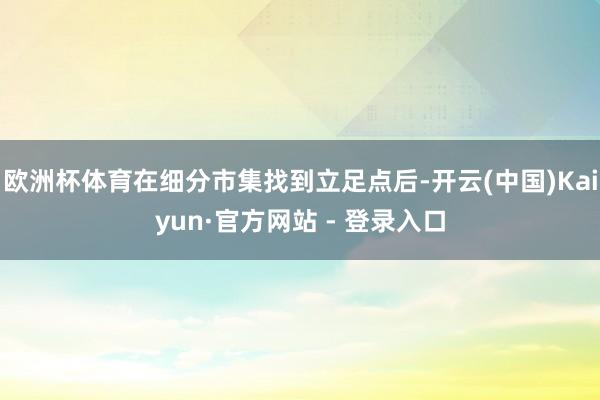 欧洲杯体育在细分市集找到立足点后-开云(中国)Kaiyun·官方网站 - 登录入口